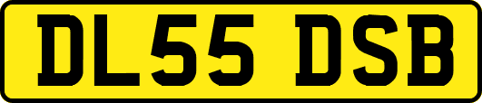 DL55DSB