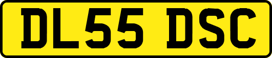 DL55DSC