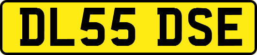 DL55DSE