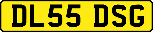 DL55DSG