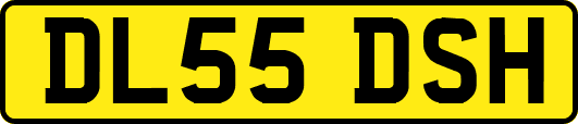 DL55DSH