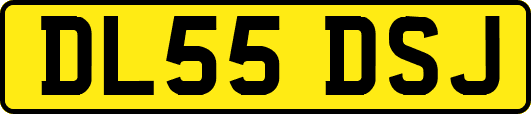 DL55DSJ