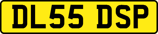 DL55DSP