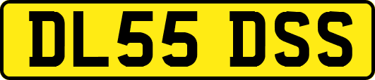 DL55DSS