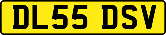 DL55DSV