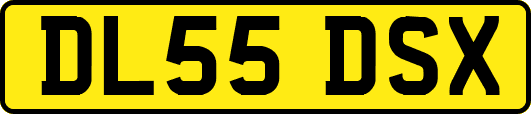DL55DSX