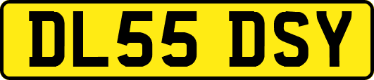 DL55DSY