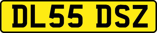 DL55DSZ
