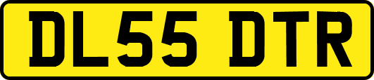 DL55DTR