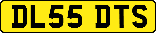 DL55DTS