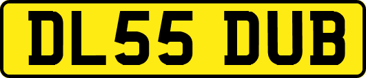 DL55DUB