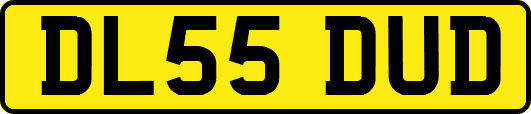 DL55DUD