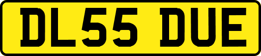 DL55DUE