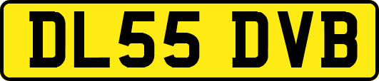 DL55DVB