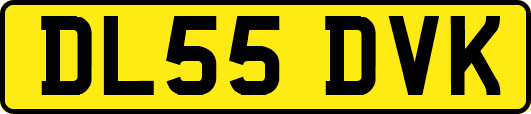 DL55DVK