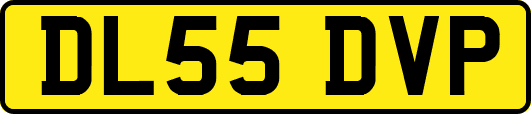 DL55DVP