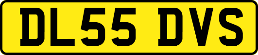 DL55DVS