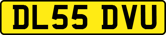 DL55DVU