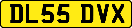 DL55DVX