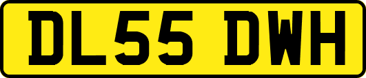 DL55DWH