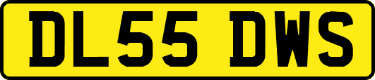 DL55DWS