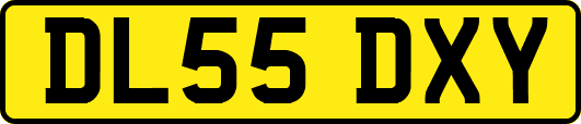 DL55DXY