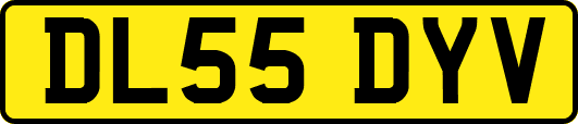 DL55DYV