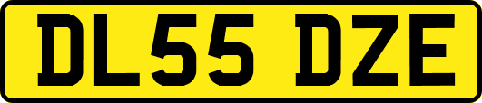 DL55DZE