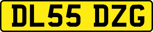 DL55DZG