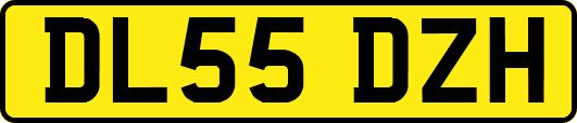 DL55DZH