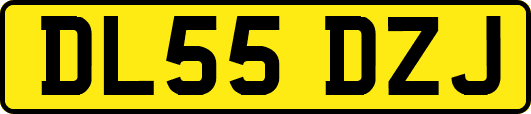 DL55DZJ