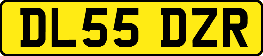 DL55DZR