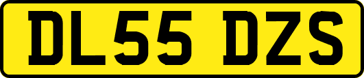 DL55DZS
