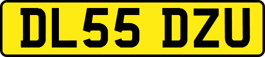 DL55DZU