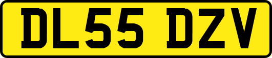 DL55DZV