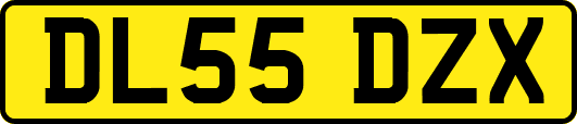 DL55DZX