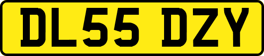 DL55DZY
