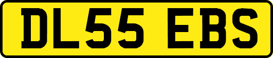 DL55EBS