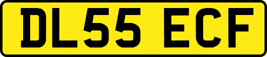 DL55ECF
