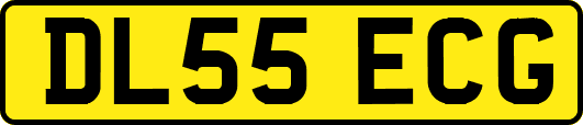 DL55ECG