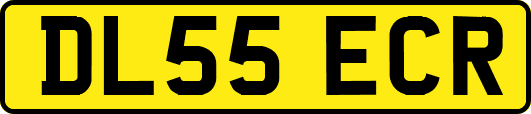 DL55ECR