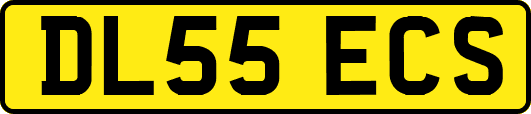 DL55ECS