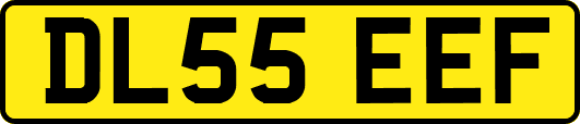 DL55EEF