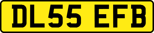 DL55EFB