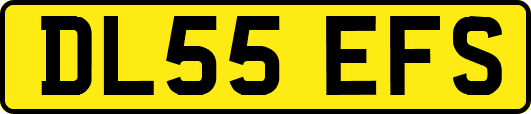 DL55EFS