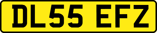 DL55EFZ