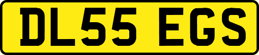DL55EGS