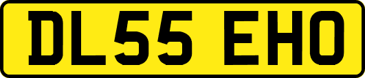 DL55EHO
