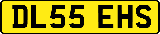 DL55EHS