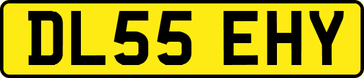 DL55EHY